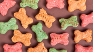 Dog Treat Ideas For This Christmas