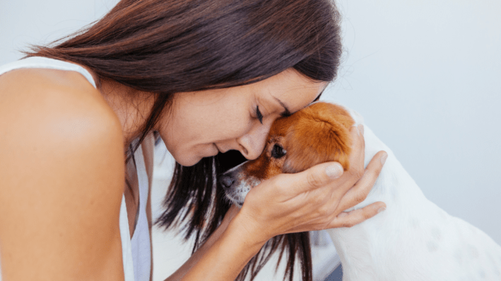 How Do I Check My Dog’s Health