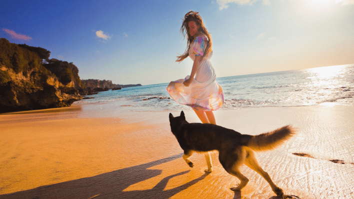 How to Travel the World with Your Dog