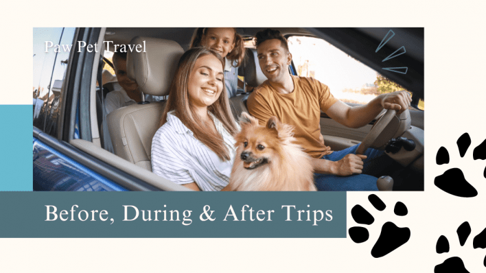 Pet Travel Checklist: What to Do Before, During, and After Your Trip.png